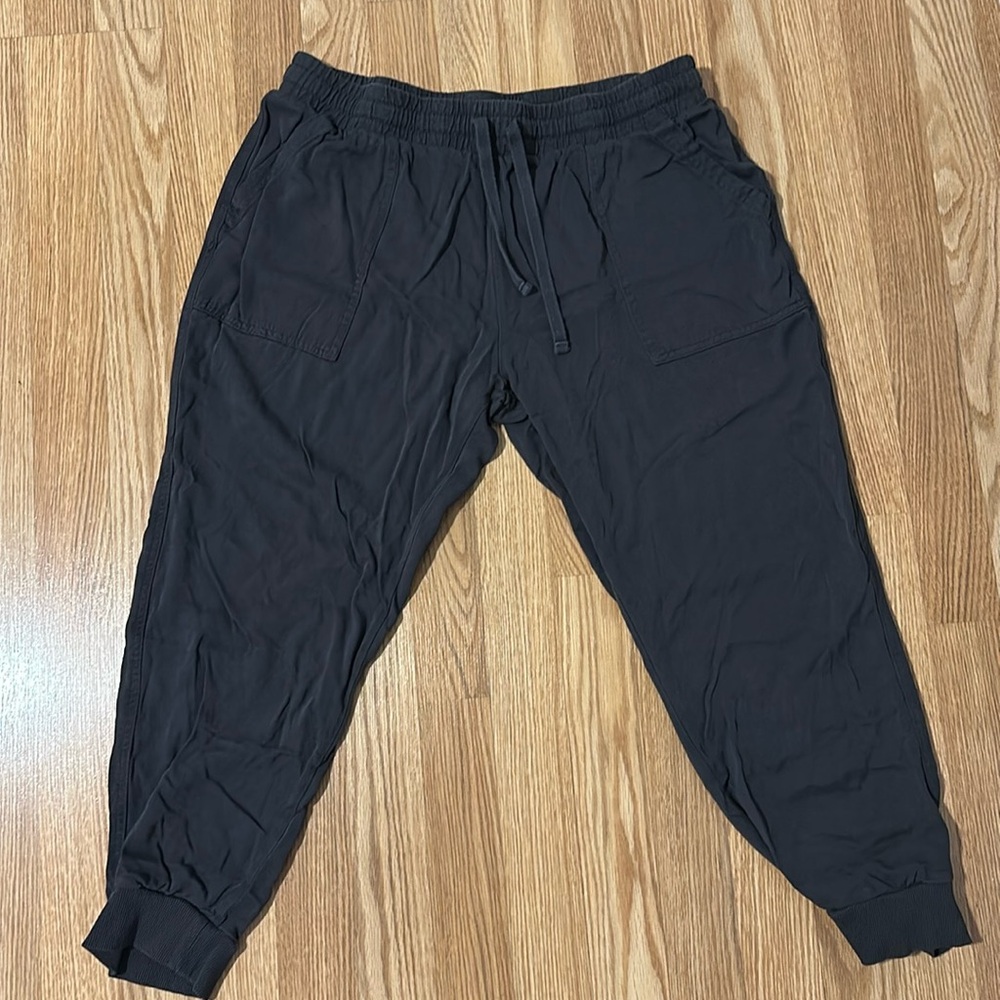 Splendid 100% Rayon joggers